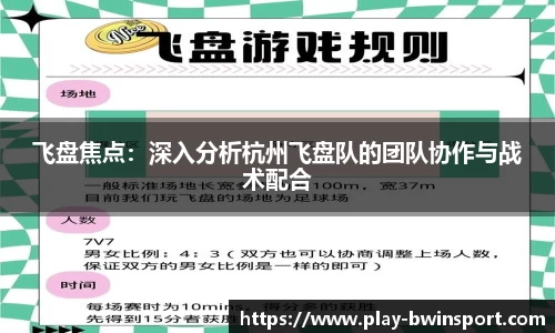 飞盘焦点：深入分析杭州飞盘队的团队协作与战术配合